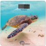 PESE PERSONNE RECHARGEABLE LITTLE BALANCE LA TORTUE USB-R-8653 thumbnail