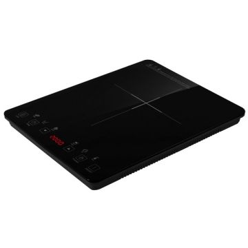TABLE A INDUCTION POSABLE  LITTLE BALANCE LITTLE INDUCTION-8575