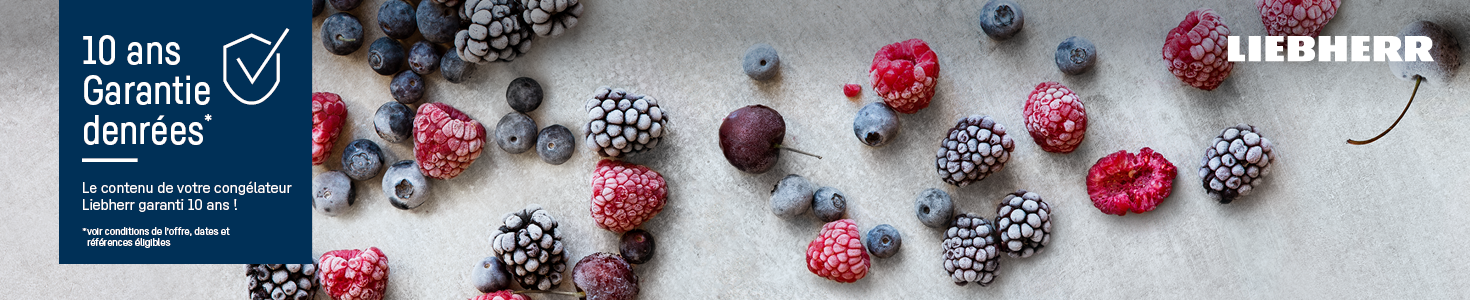 GITEM - ODR LIEBHERR 10 ANS DENREES 2026